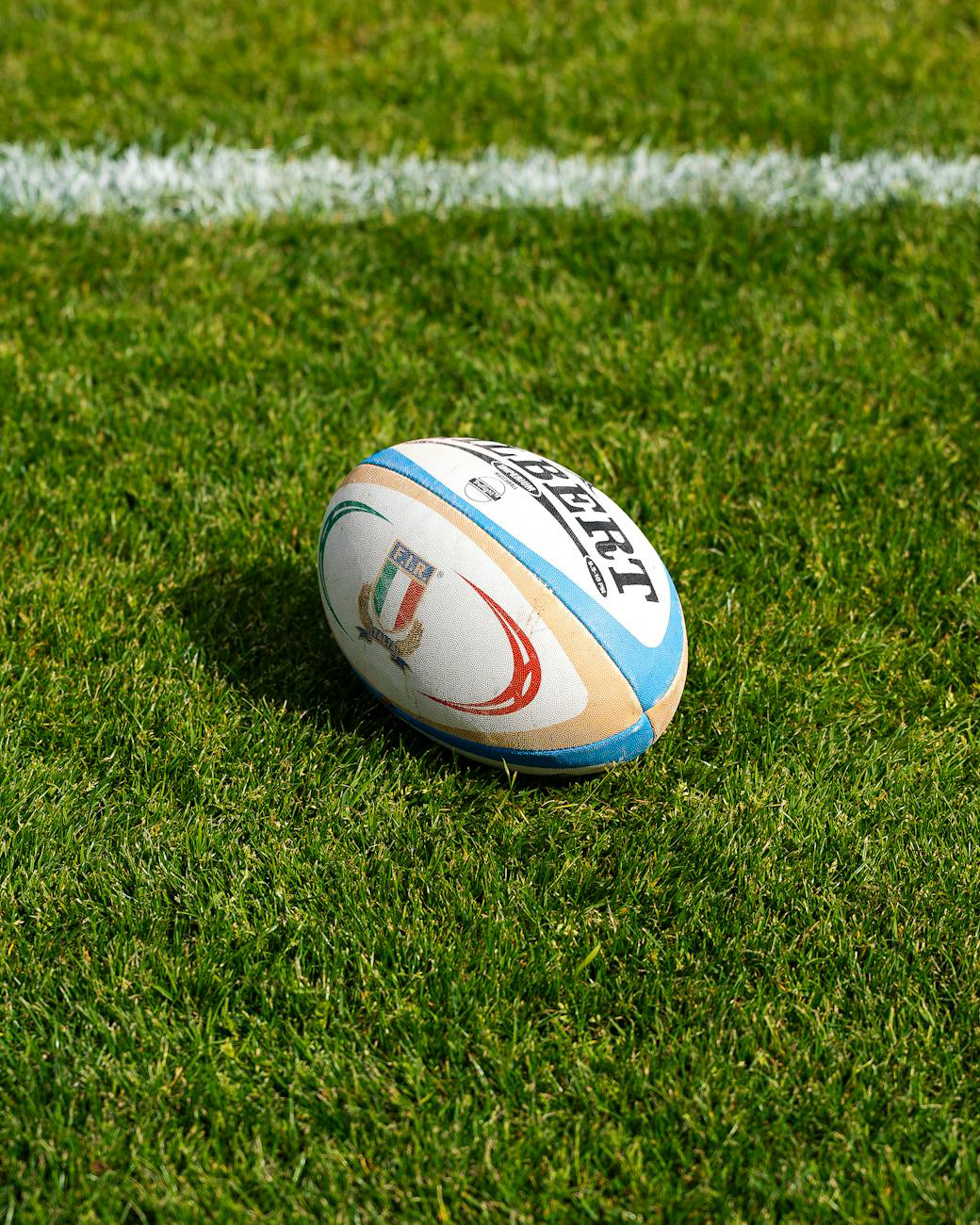 Rugby, Italia-Sudafrica: a Torino la sfida  il 15 novembre